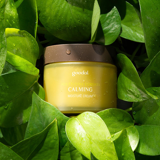 GOODAL / グーダル HC ドクダミ鎮静クリームセット(HOUTTUYNIA CORDATA CALMING MOISTURE CREAM SET)