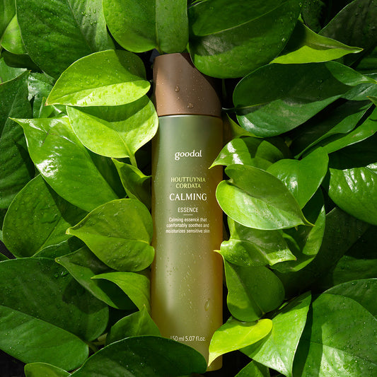 GOODAL / グーダル HCドクダミ 鎮静エッセンスセット(HOUTTUYNIA CORDATA CALMING MOISTURE CREAM SET)