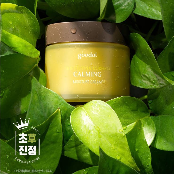 GOODAL / グーダルHC/ドクダミ鎮静モイスチャークリームセット(HOUTTUYNIA CORDATA CALMING MOISTURE CREAM SET)