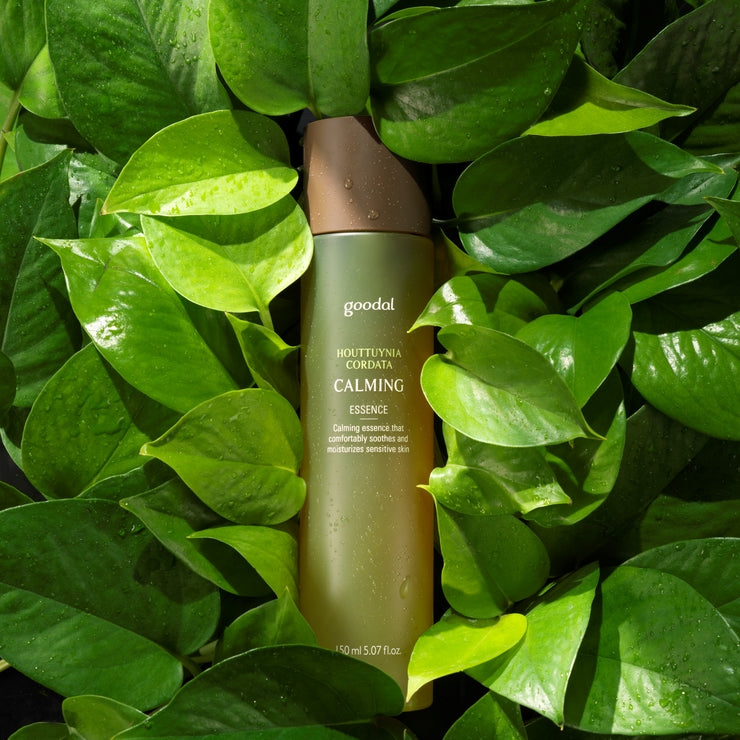 GOODAL / グーダル鎮静HCエッセンスモイスチャークリームセット150ml+5ml(HOUTTUYNIA CORDATA CALMING ESSENCE MOISTURE CREAM SET)